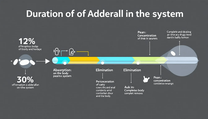 An illustration depicting the duration of Adderall in the system, highlighting how long does Adderall stay in your system.