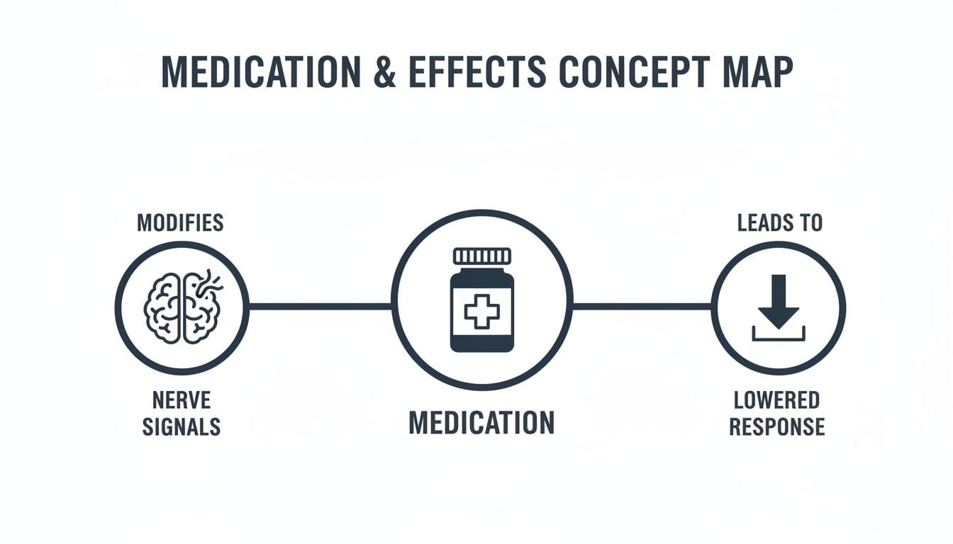 Concept map illustrating how medication modifies nerve signals, leading to a lowered response.