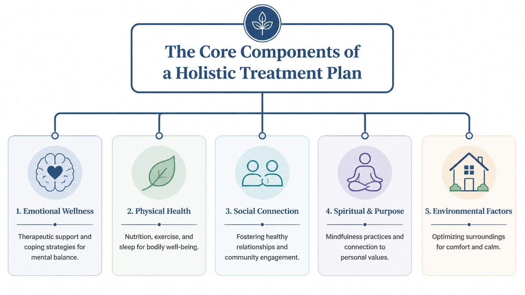 A diagram outlining the five core components of a holistic treatment plan including emotional, physical, and environmental factors.