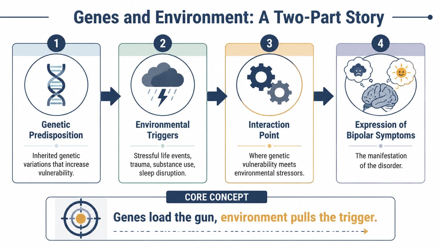 A four-step infographic illustrating how genetics and environmental stressors interact to trigger bipolar disorder symptoms.