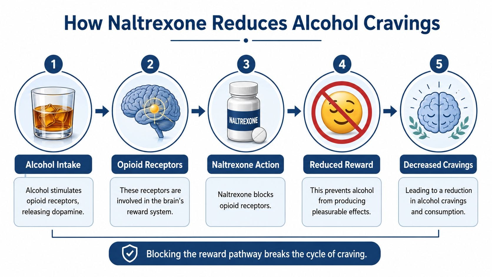 A five-step infographic showing how Naltrexone blocks opioid receptors to reduce alcohol cravings and consumption.