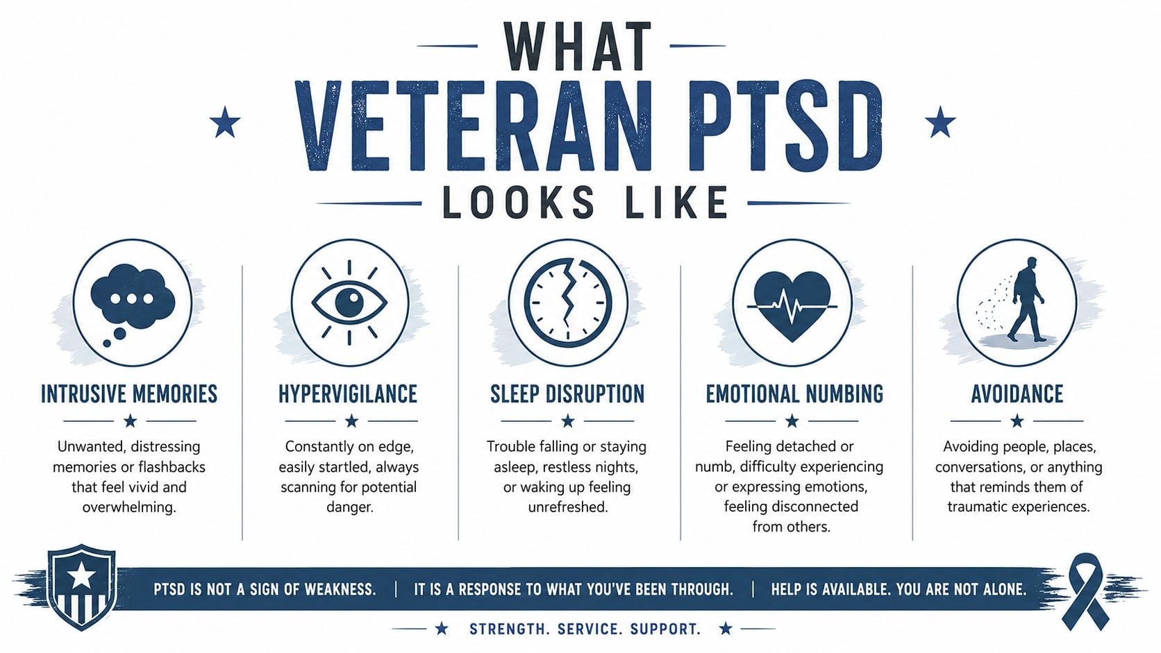 An infographic titled What Veteran PTSD Looks Like, listing symptoms including intrusive memories, hypervigilance, sleep disruption, emotional numbing, and avoidance.